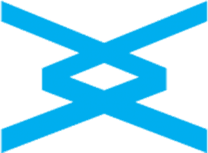 e-VIVA